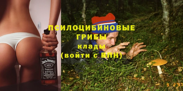 мдма Новодвинск