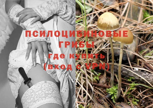 кристаллы Алзамай