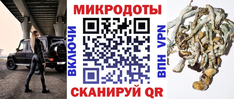 Псилоцибиновые грибы Psilocybe  Рошаль 